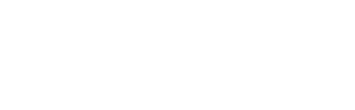 kws logo white